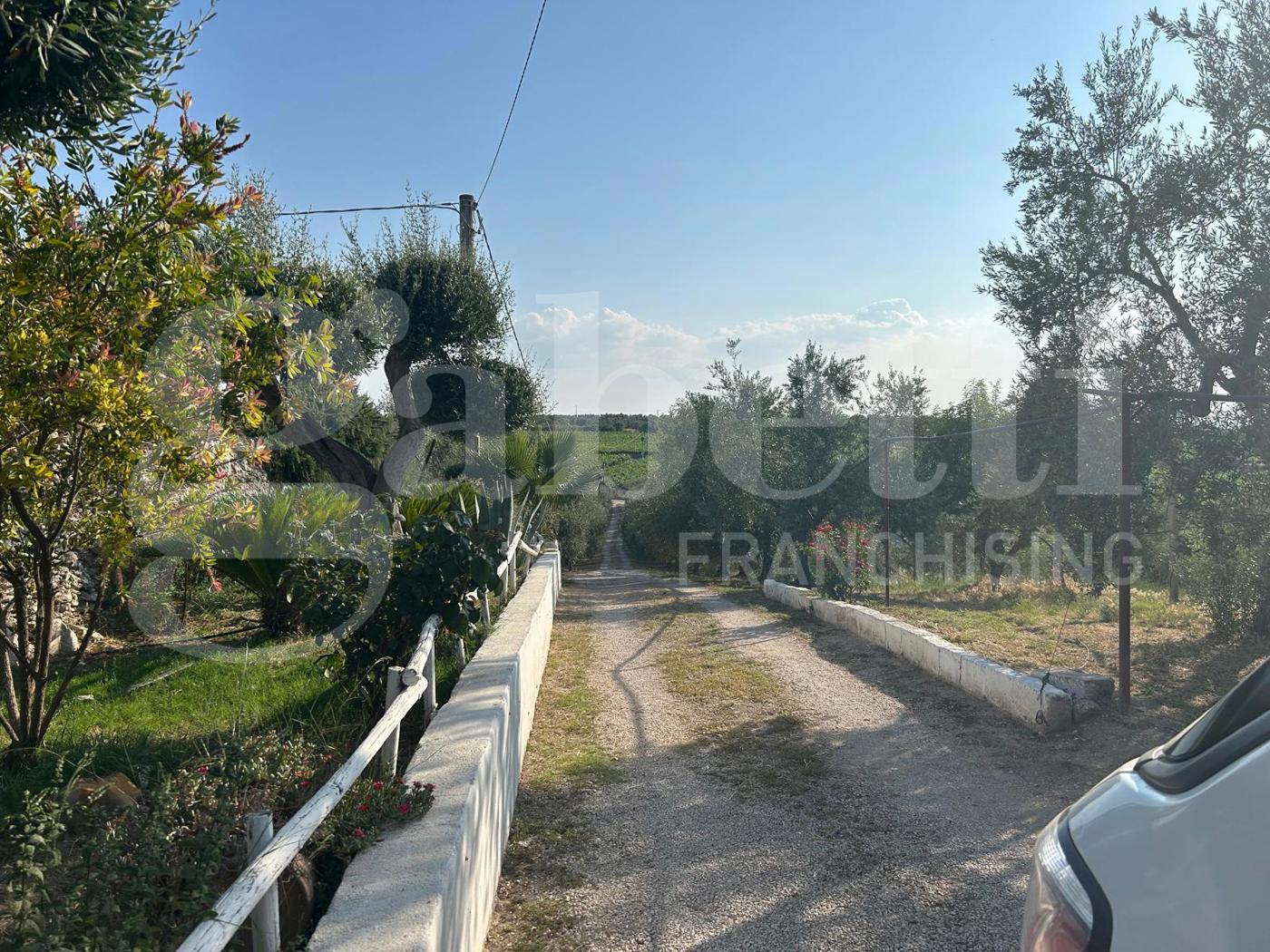 Terreno Agricolo in vendita a Canosa di Puglia