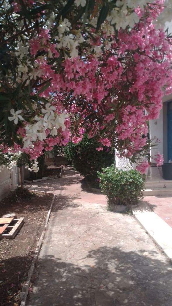 Villa Bifamiliare in vendita a Manduria