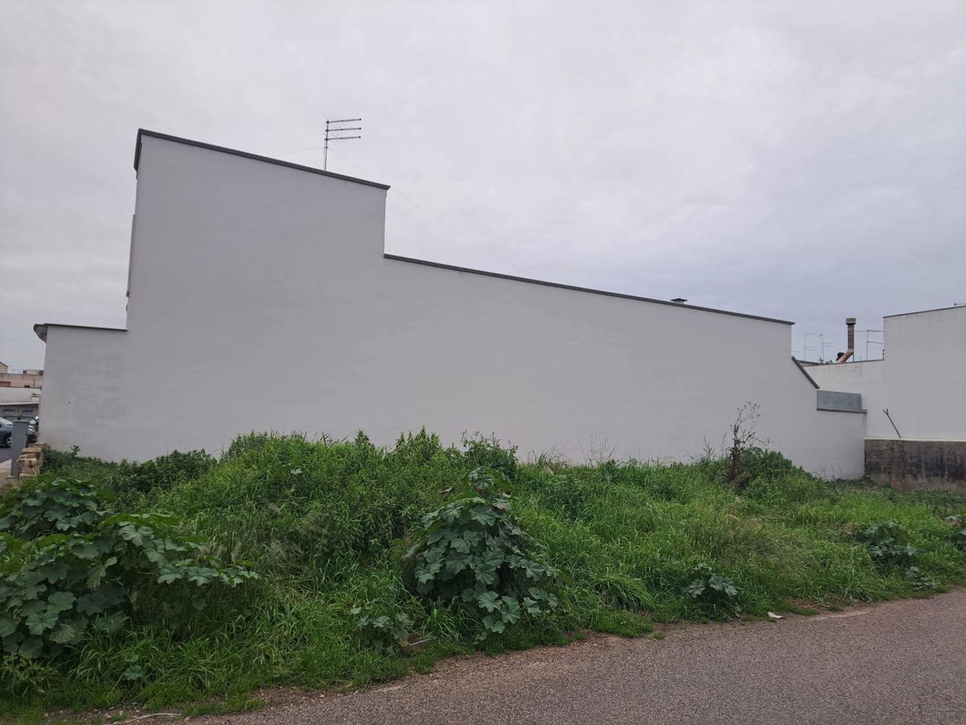 immagine annuncio 2 di 4