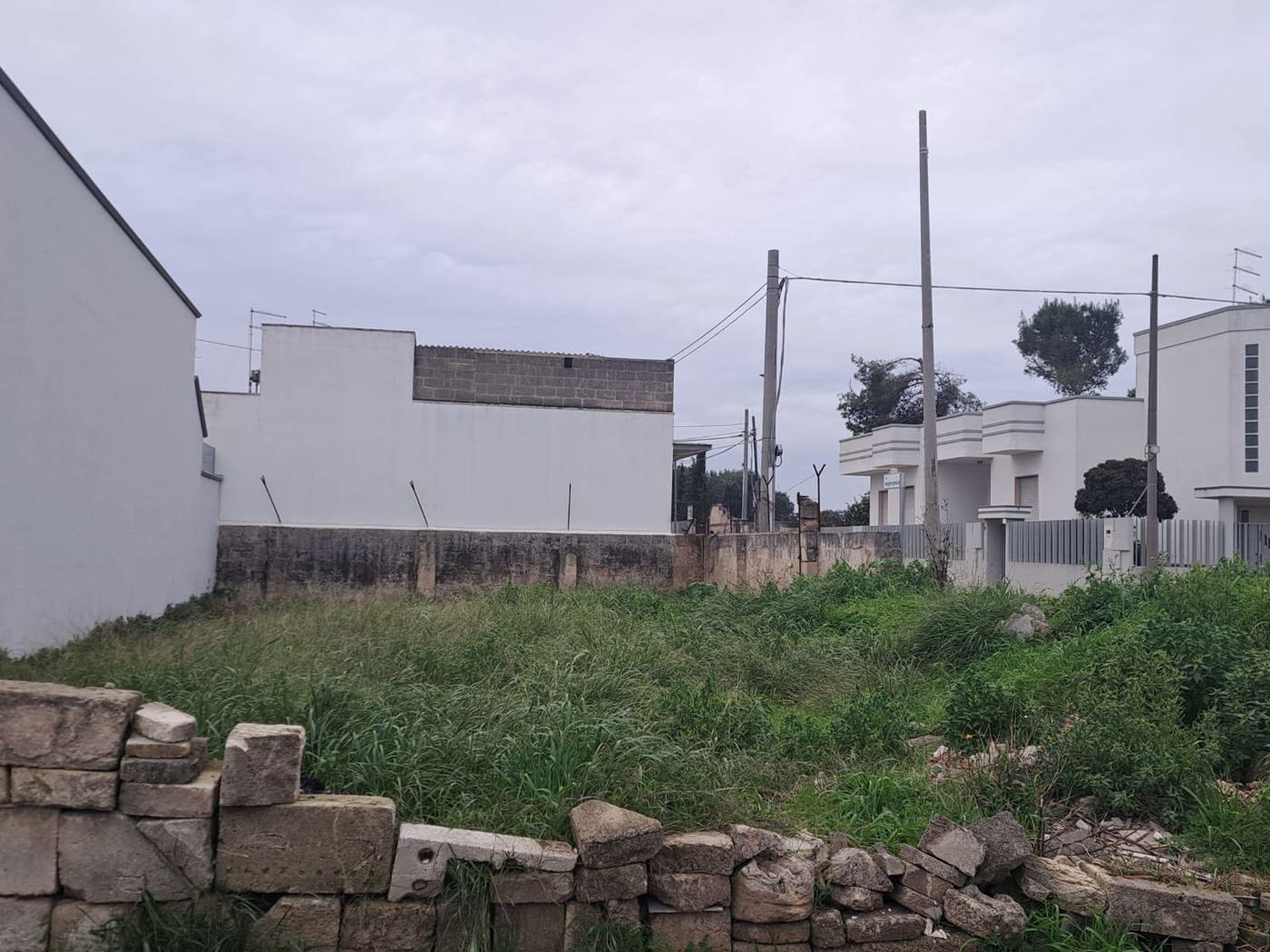 immagine annuncio 3 di 4