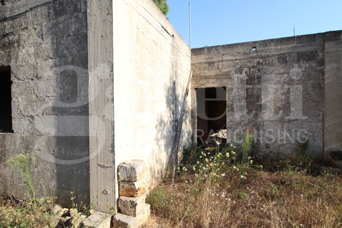 immagine annuncio 3 di 8