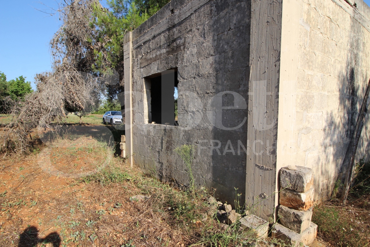 immagine annuncio 4 di 8