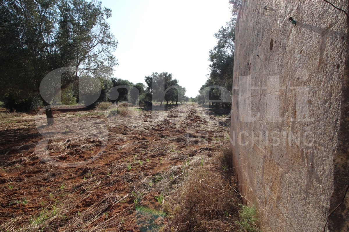 immagine annuncio 6 di 8