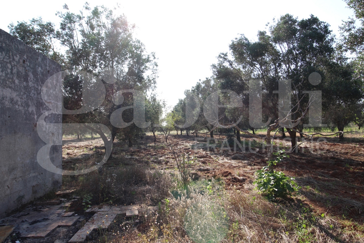 immagine annuncio 7 di 8