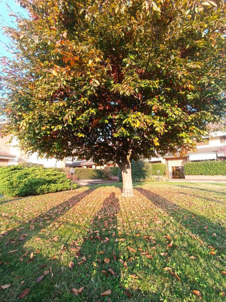 Trilocale a basso consumo a Saluzzo