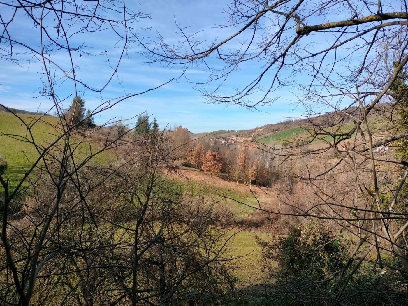 Rustico con giardino a Monte San Pietro