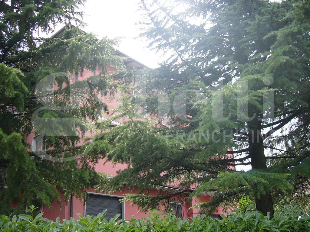 Bilocale in affitto a Monte San Pietro