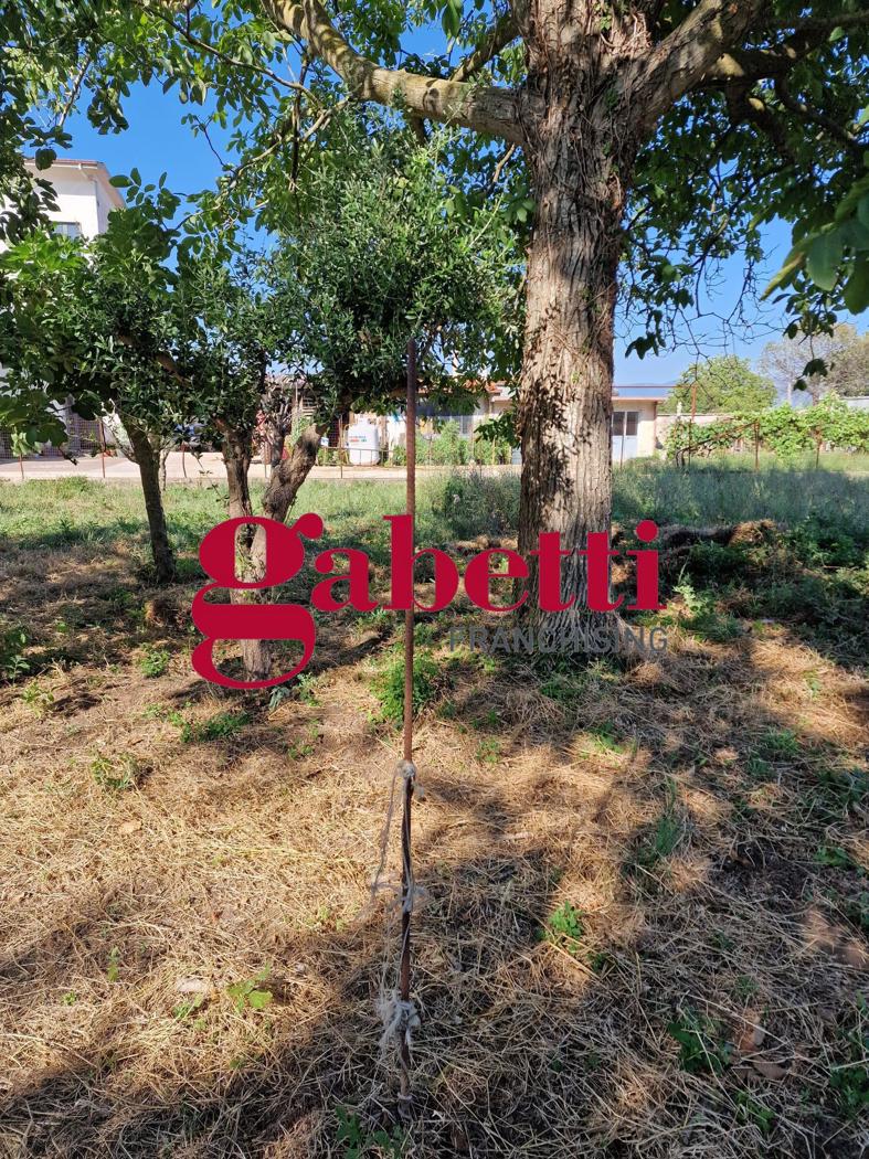 Appartamento in vendita a Caserta