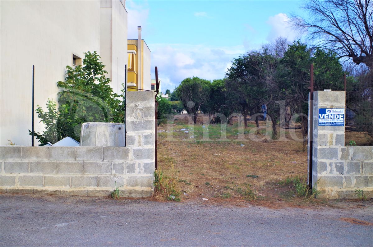 Terreno Agricolo in vendita a Alezio