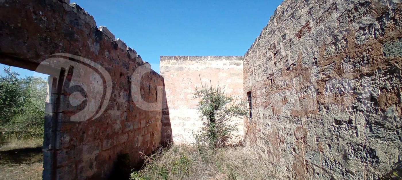 Terreno Agricolo in vendita a Sannicola