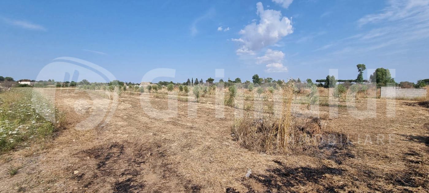 Terreno Agricolo in vendita a Alezio
