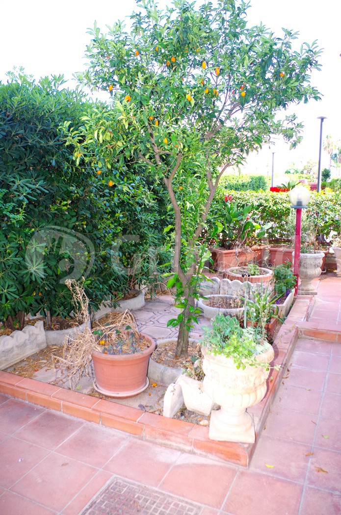 Trilocale con box doppio a Alezio