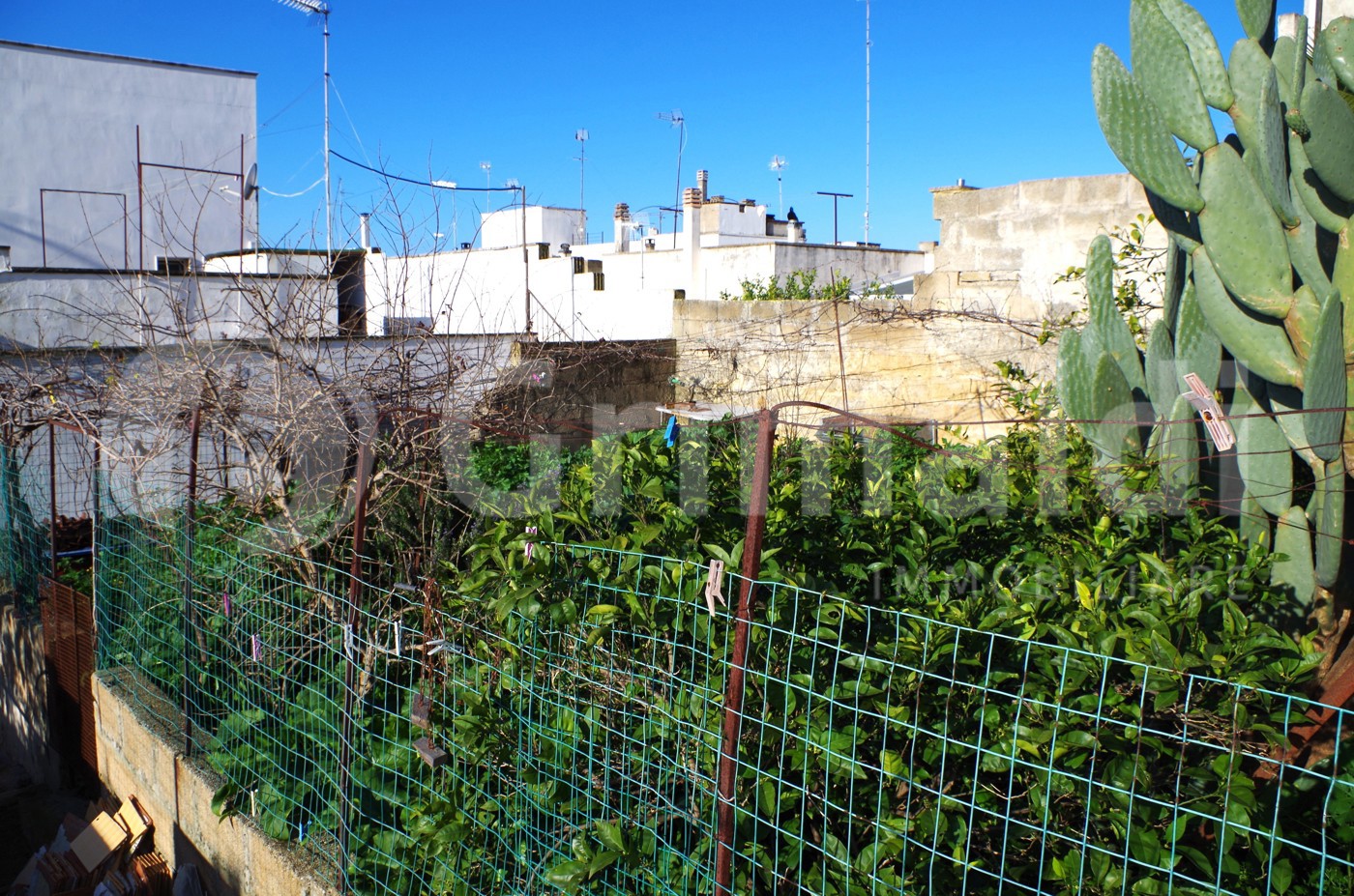 Casa indipendente da ristrutturare a Sannicola