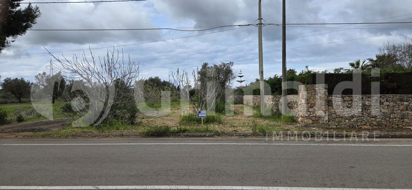 Terreno Agricolo in vendita a Sannicola