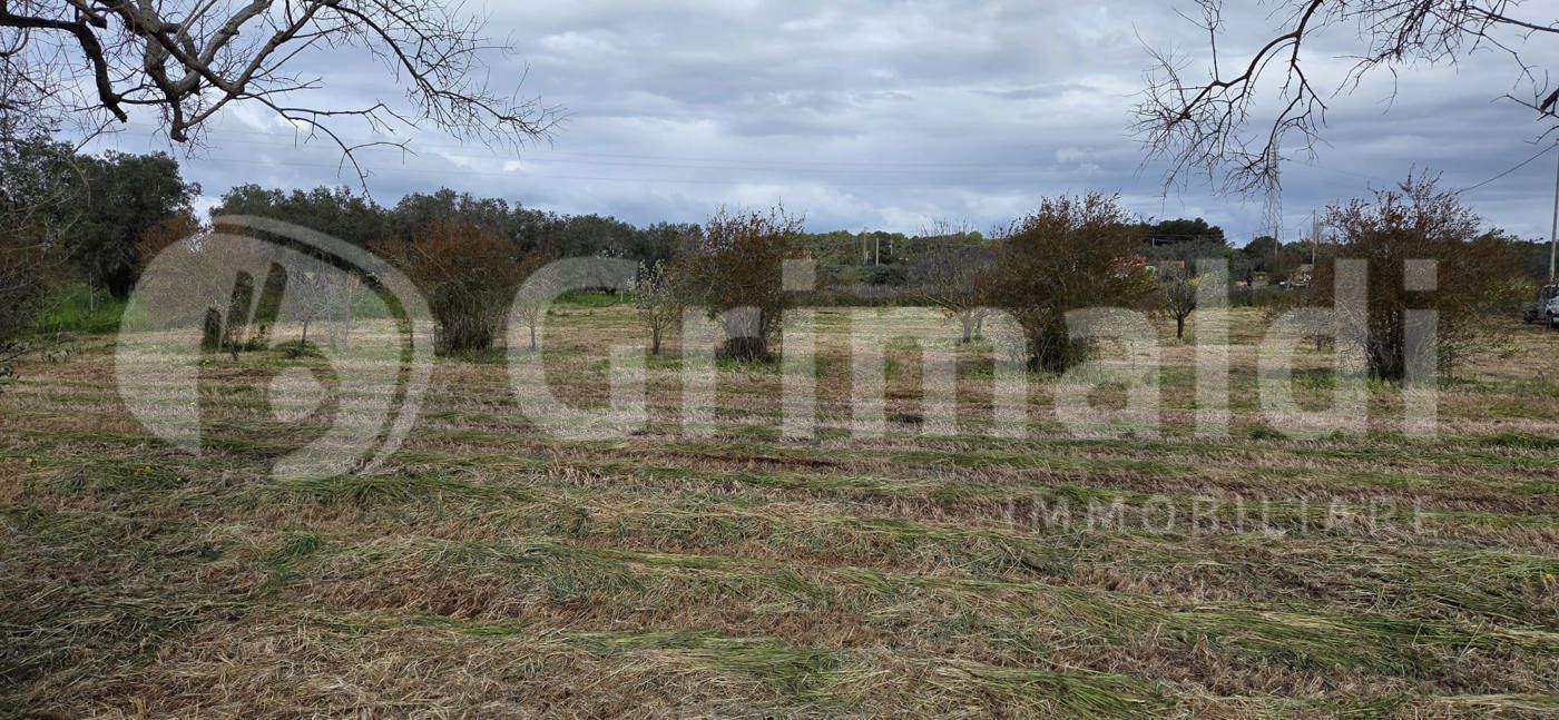 Terreno Agricolo in vendita a Sannicola
