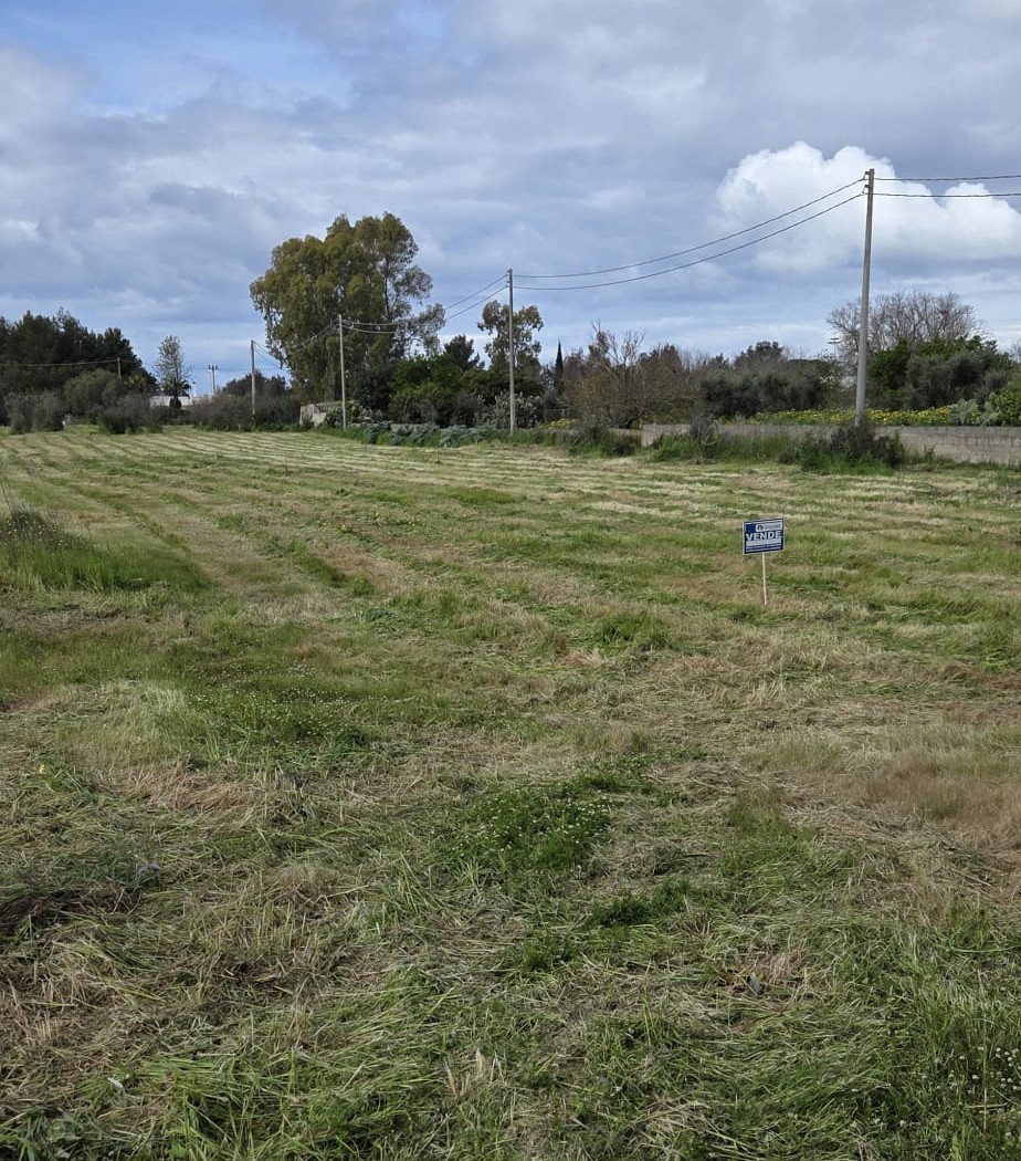 Terreno Agricolo in vendita a Sannicola