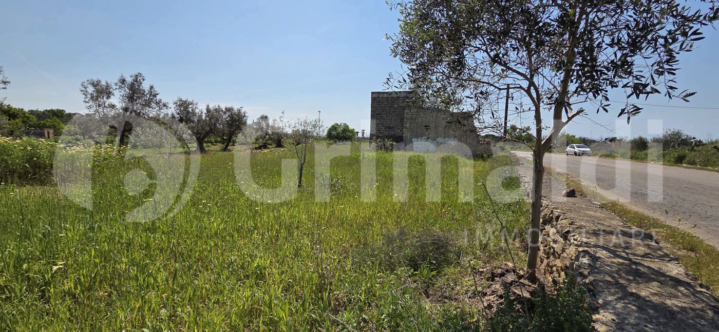 immagine annuncio 1 di 4