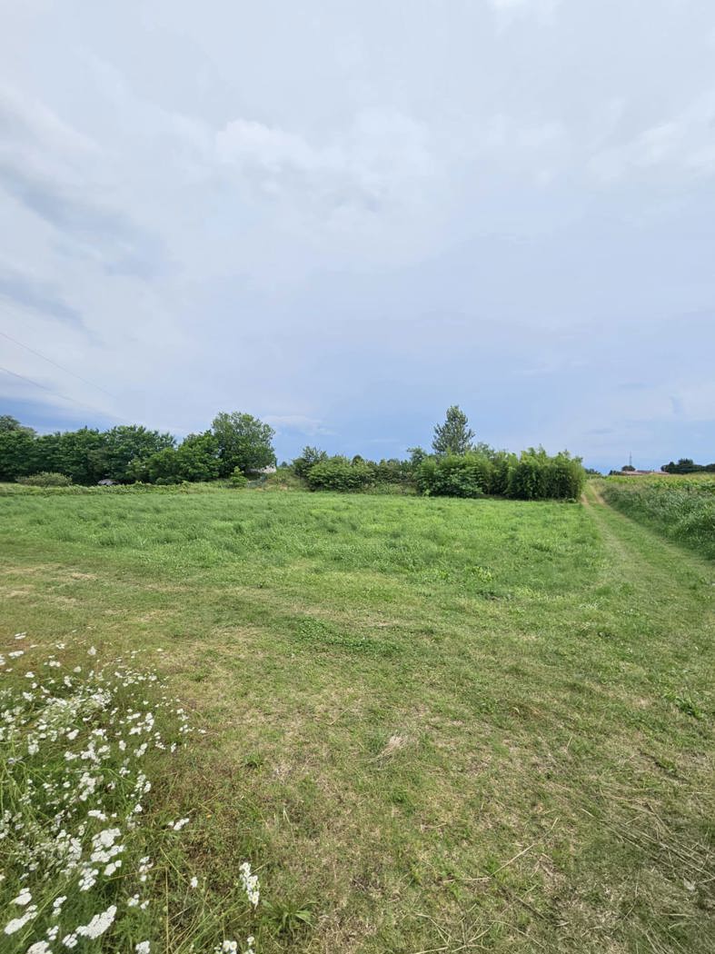 Terreno Agricolo in vendita a Verona