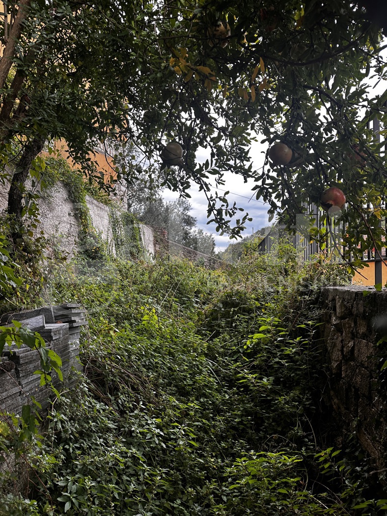 Appartamento con giardino a Candida