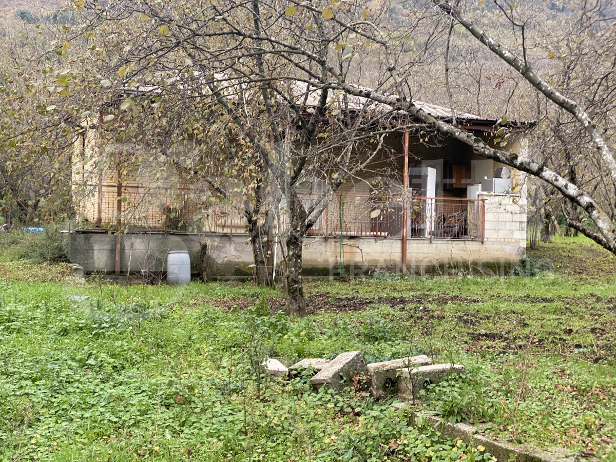 Terreno Agricolo in vendita a Forino