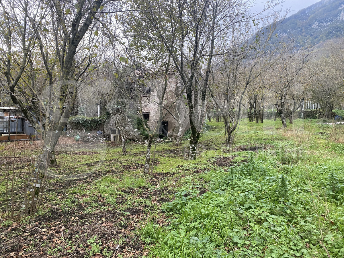 Terreno Agricolo in vendita a Forino