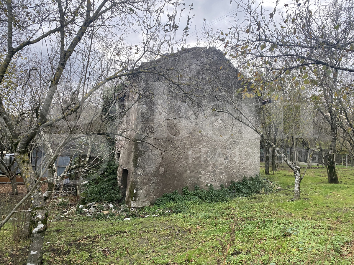 Terreno Agricolo in vendita a Forino