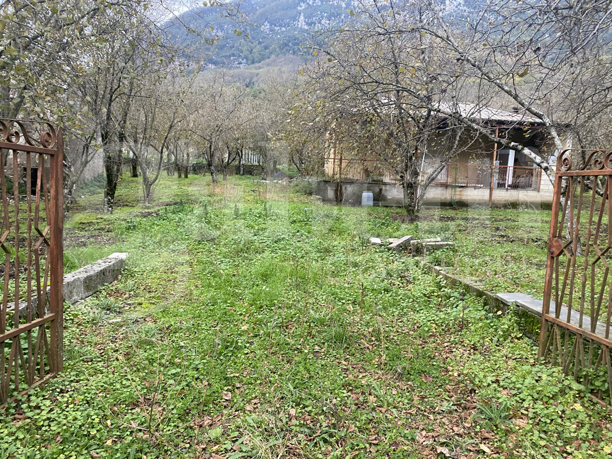 Terreno Agricolo in vendita a Forino