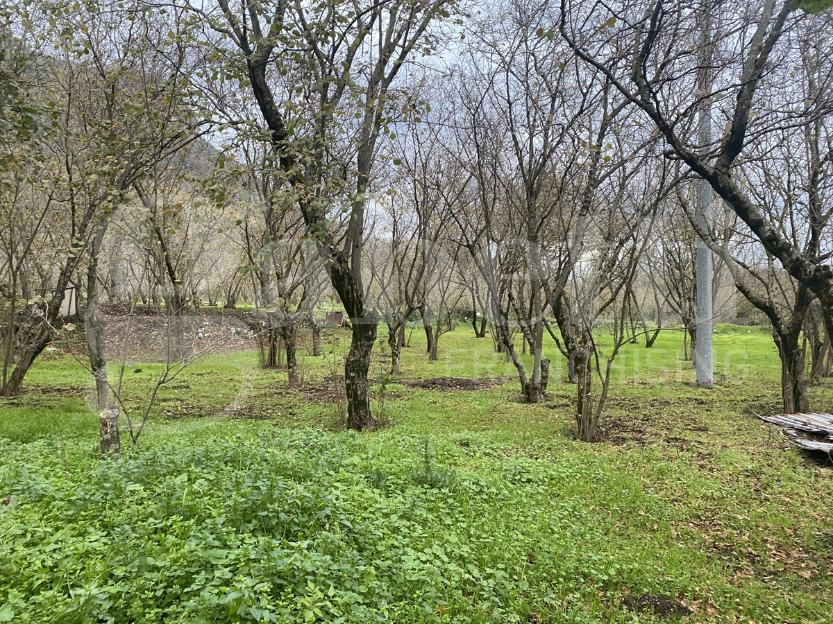 Terreno Agricolo in vendita a Forino