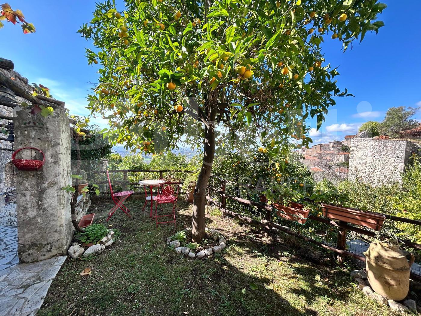 Terreno Agricolo in vendita a Sermoneta