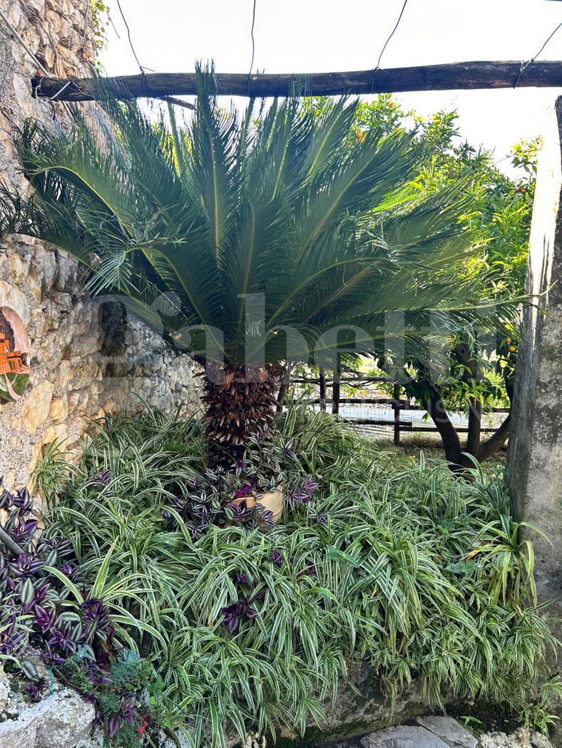 Terreno Agricolo in vendita a Sermoneta