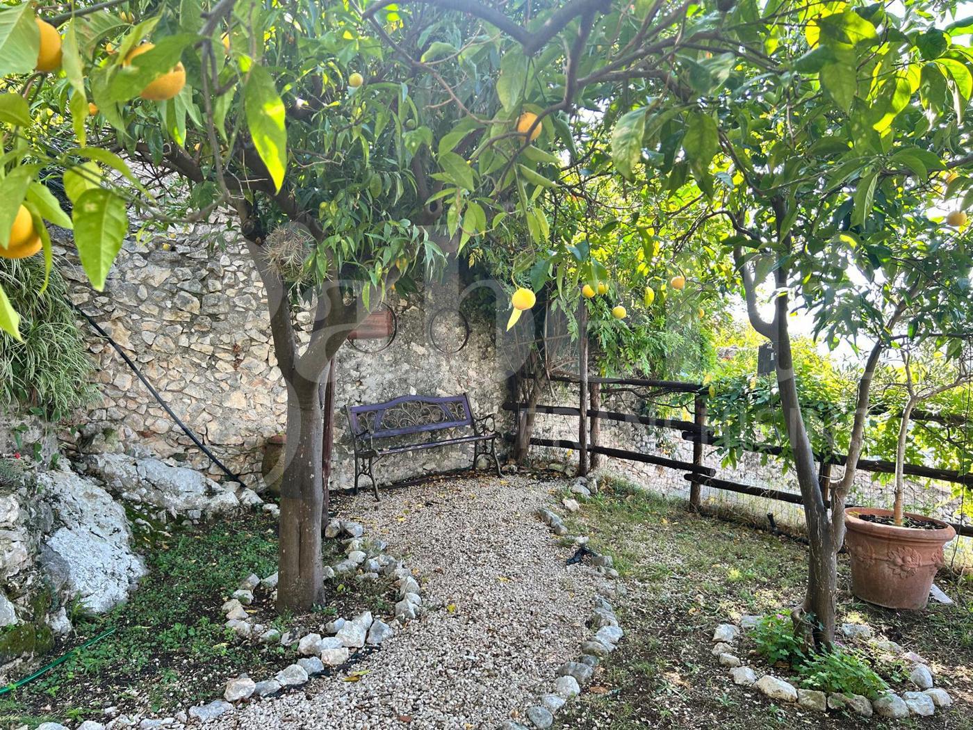 Terreno Agricolo in vendita a Sermoneta