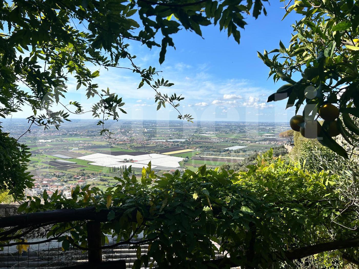 Terreno Agricolo in vendita a Sermoneta