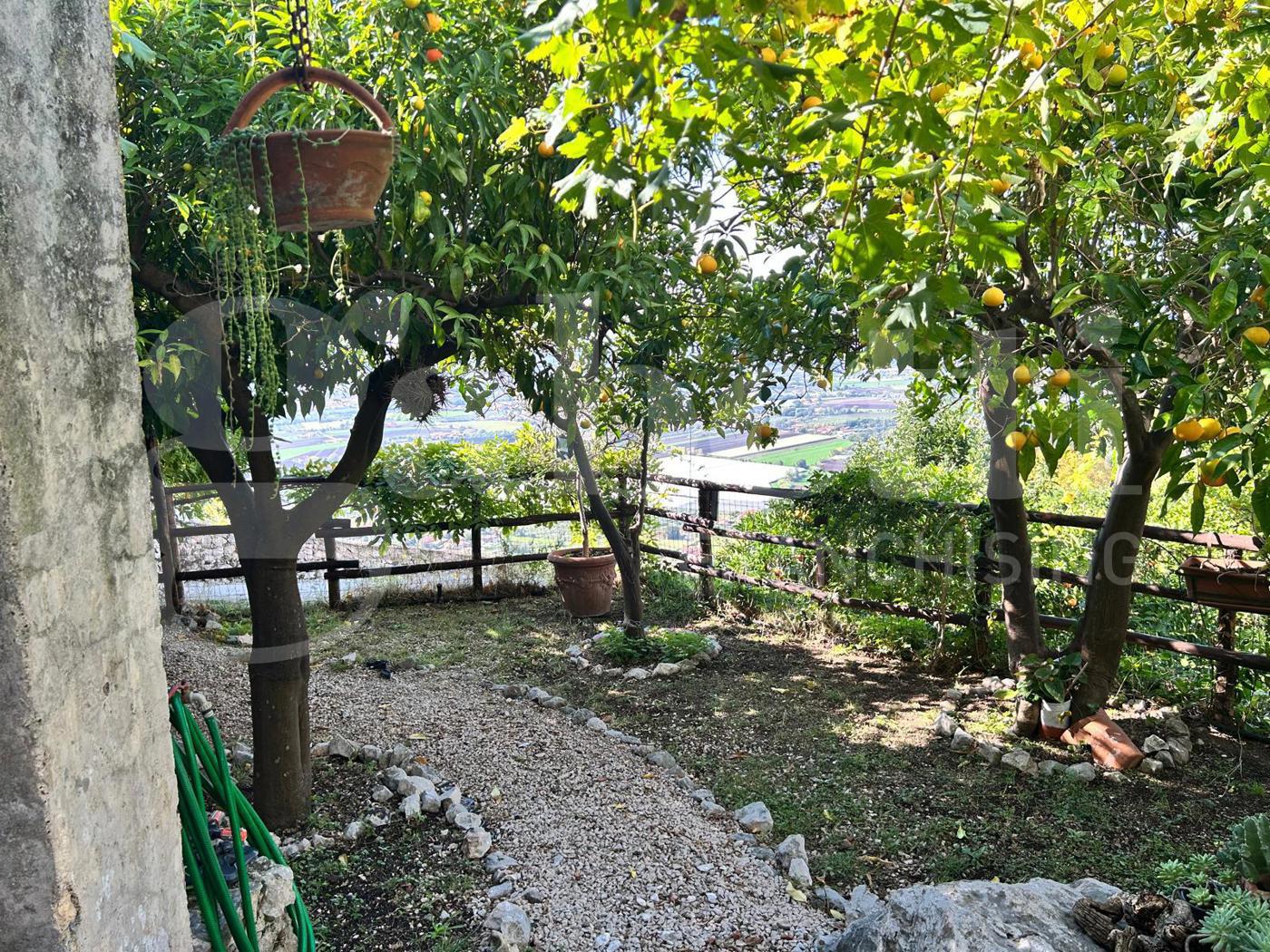 Terreno Agricolo in vendita a Sermoneta