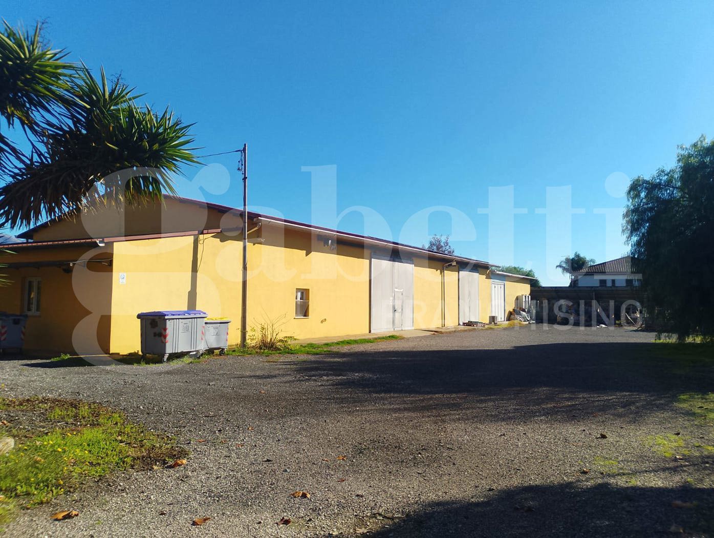 Capannone con box doppio a Latina