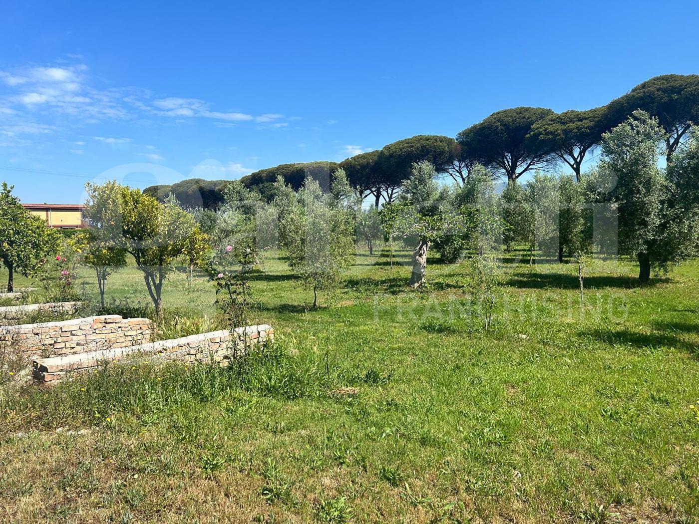 Terreno Agricolo in vendita a Latina