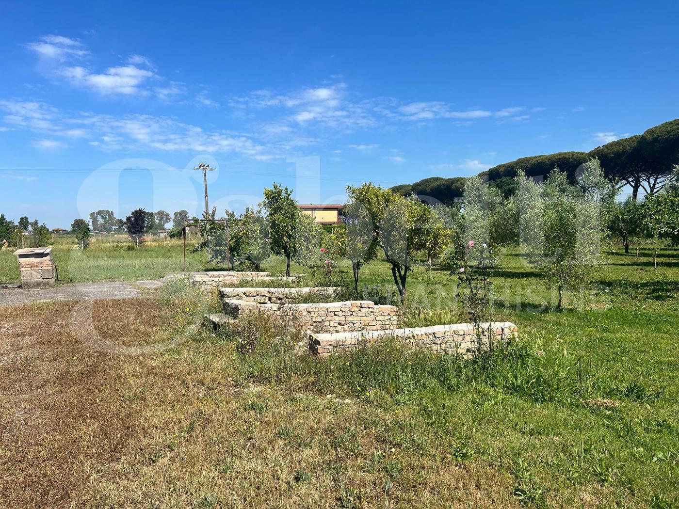Terreno Agricolo in vendita a Latina