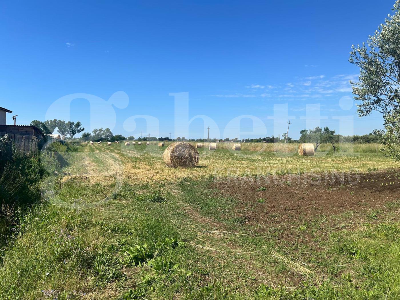 Terreno Agricolo in vendita a Latina