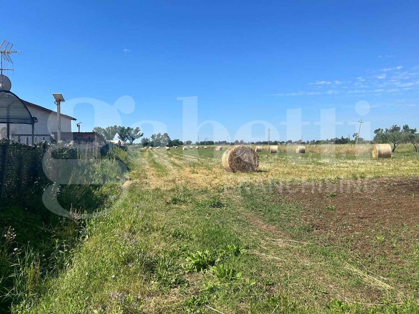 Terreno Agricolo in vendita a Latina