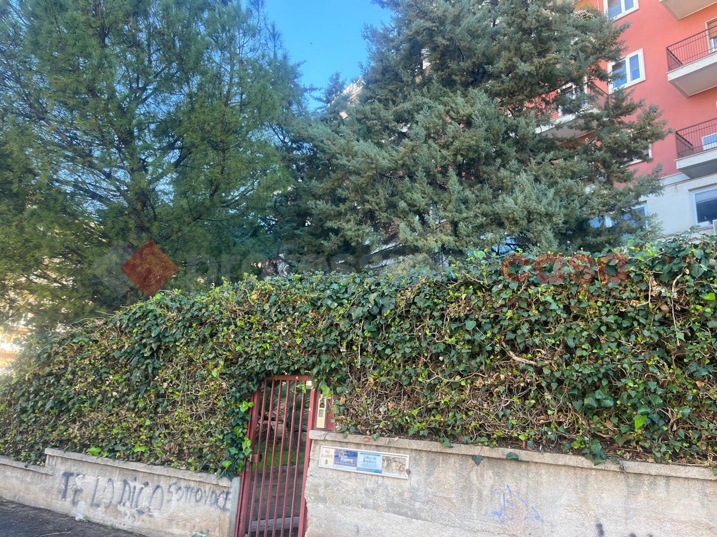 Ufficio in affitto a Bari