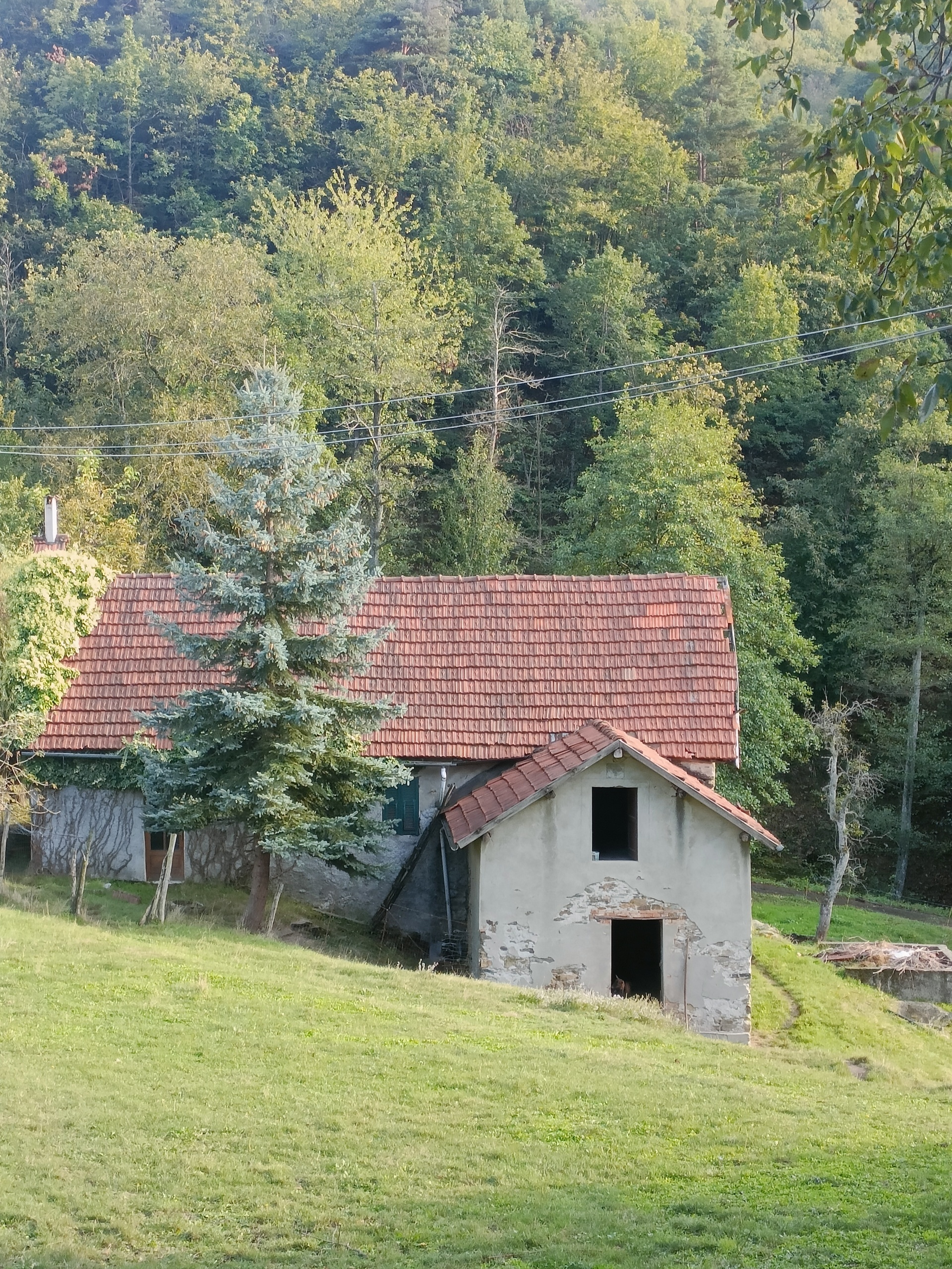 Rustico in vendita in via patane 1, Sassello