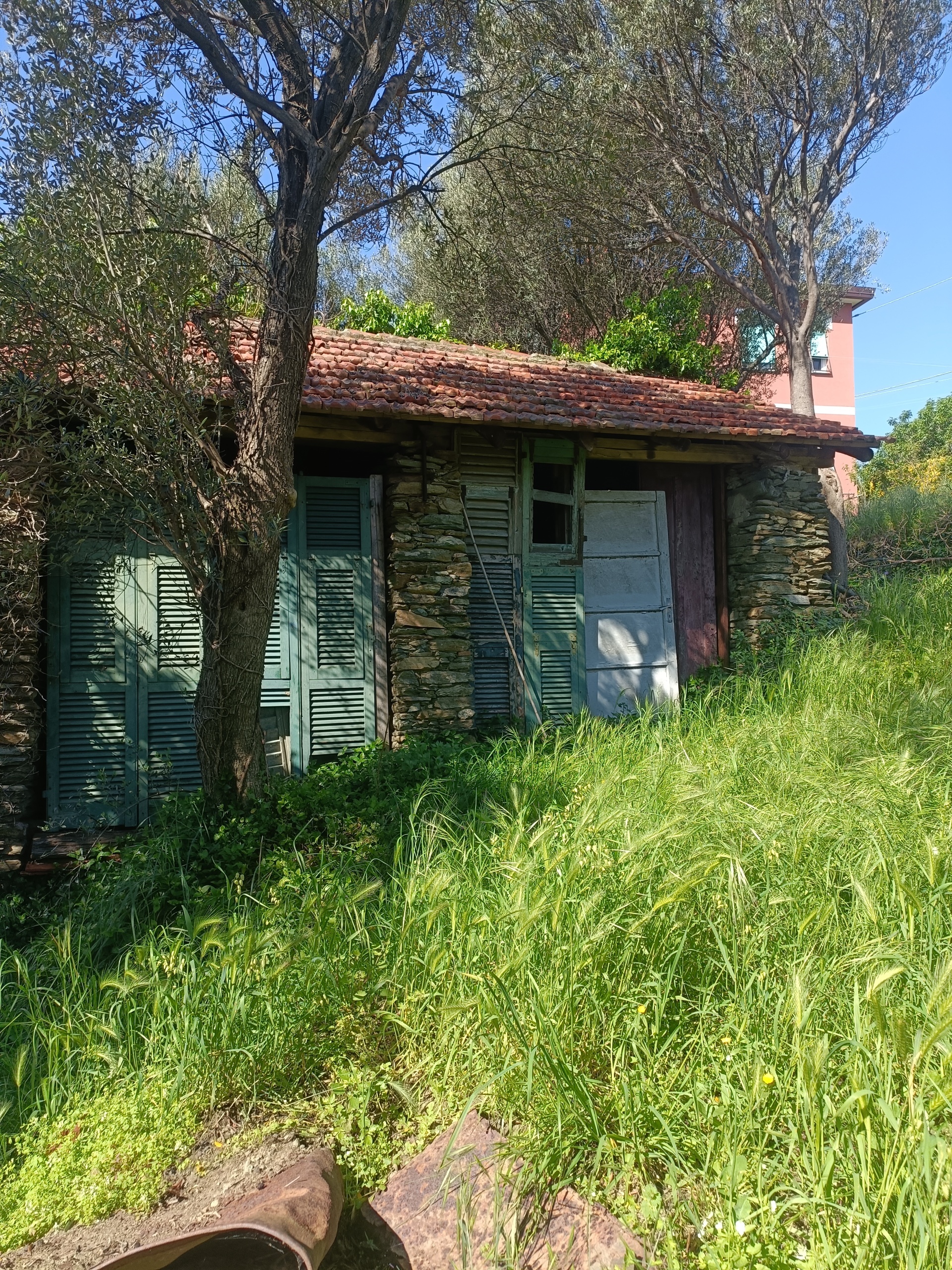 Terreno Edificabile vista mare in via nuova cantalupo snc, Varazze
