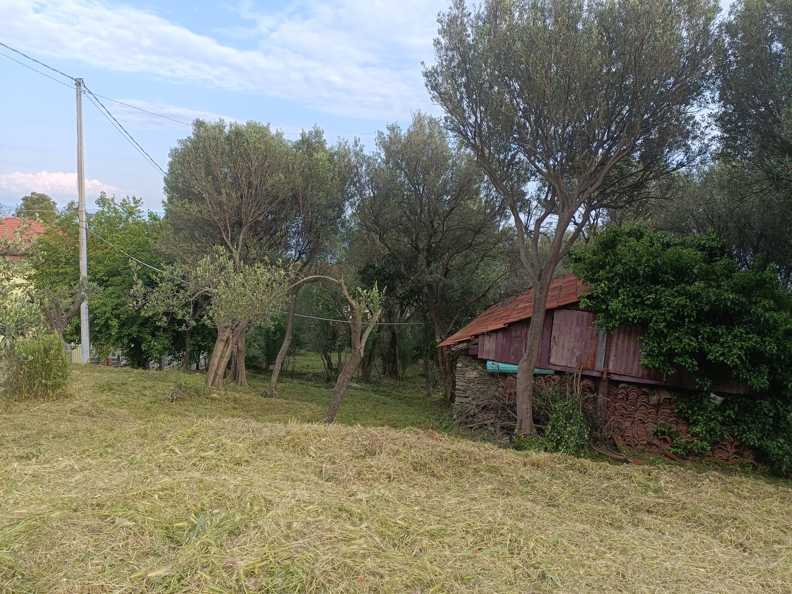 Terreno Edificabile vista mare in via nuova cantalupo snc, Varazze
