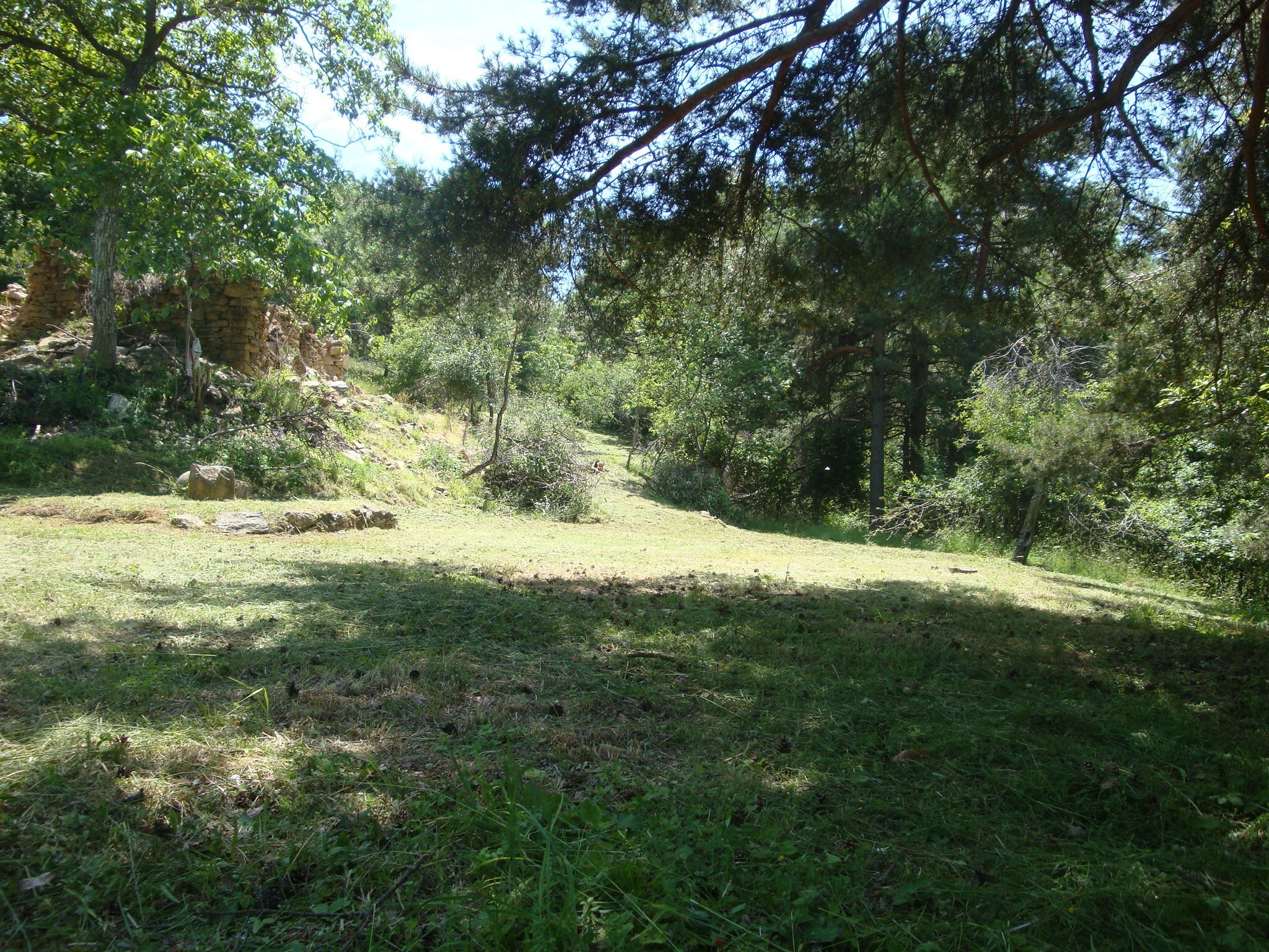Terreno Edificabile in vendita in loc. palo - patare 1, Sassello