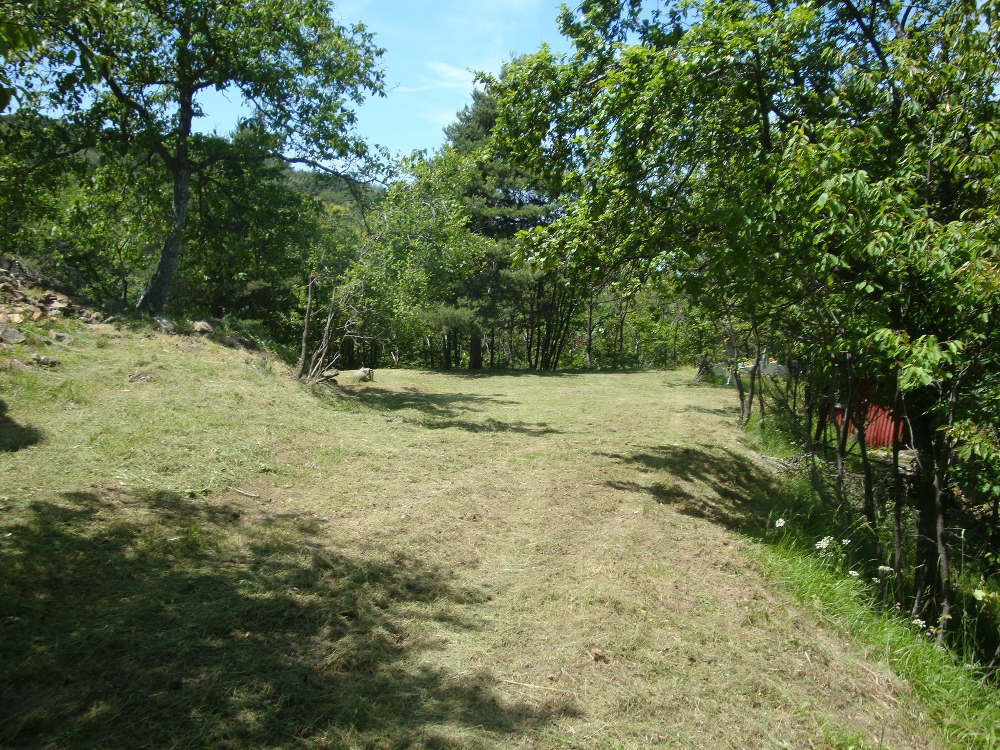 Terreno Edificabile in vendita in loc. palo - patare 1, Sassello