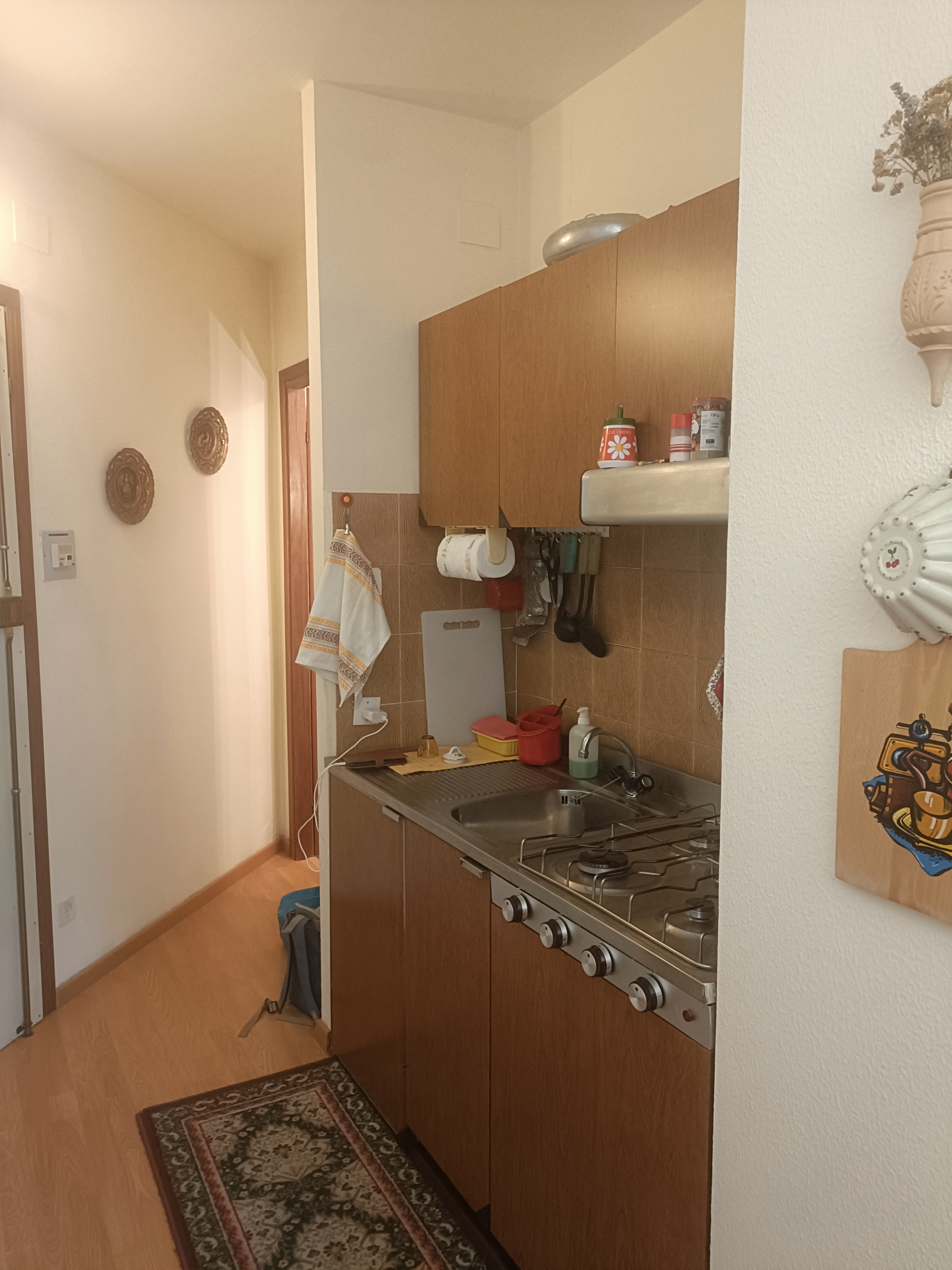 Trilocale in vendita in via ceresole 41, Frabosa Sottana