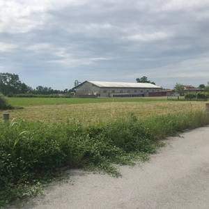 Terreno edificabile in vendita a Aviano