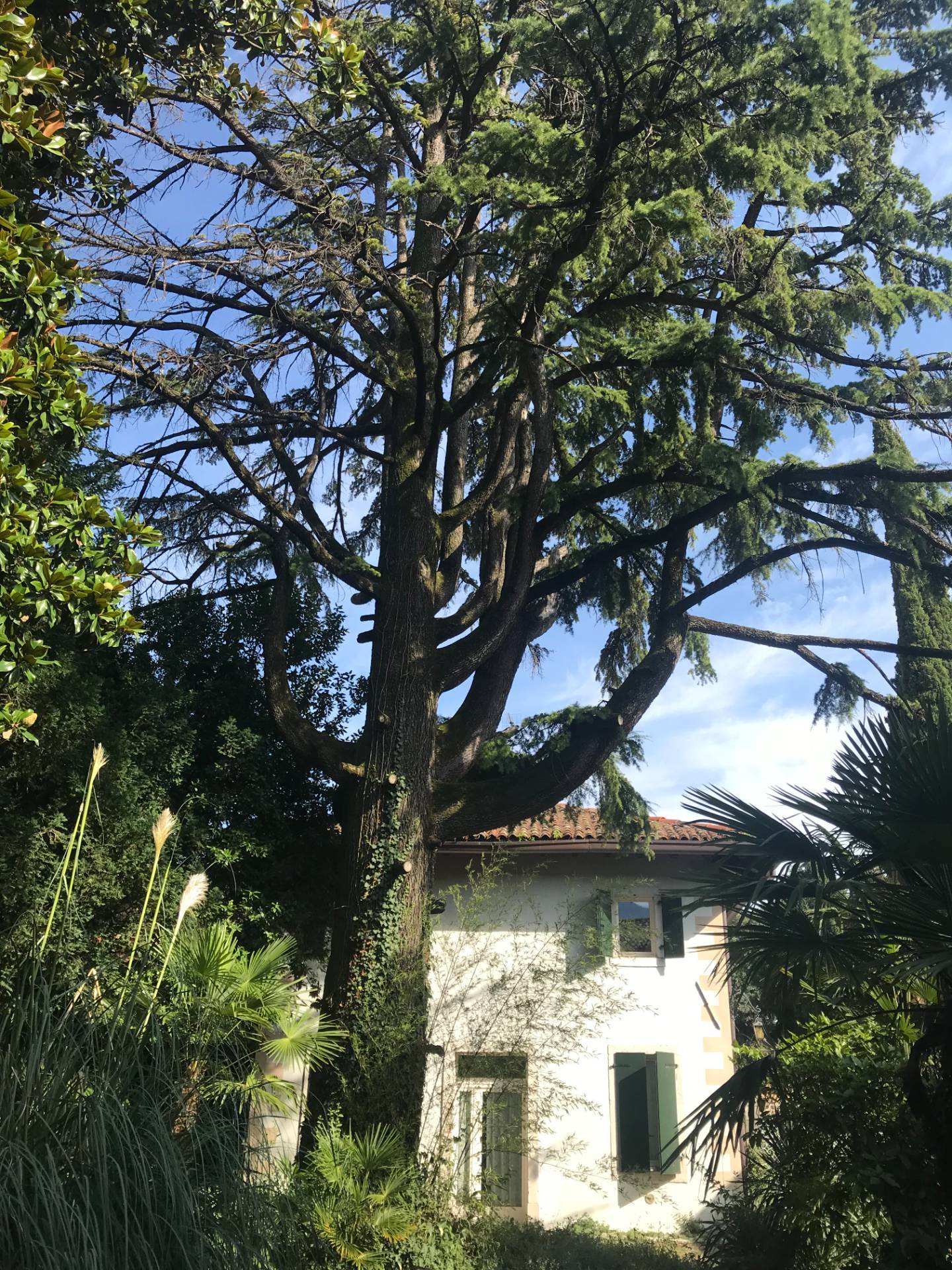 Villa in vendita a Aviano