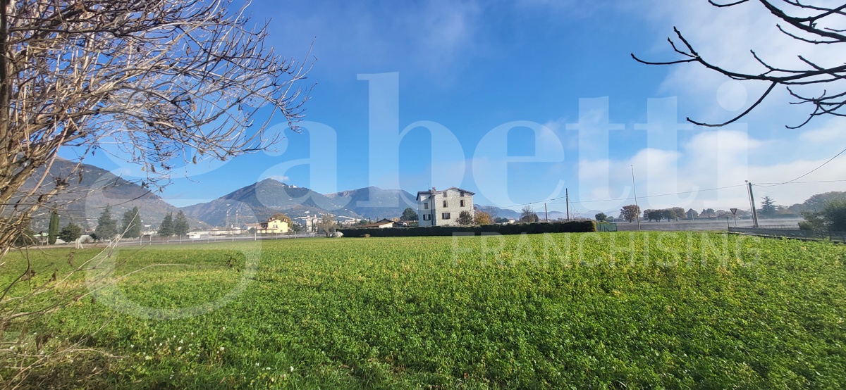 immagine annuncio 2 di 3