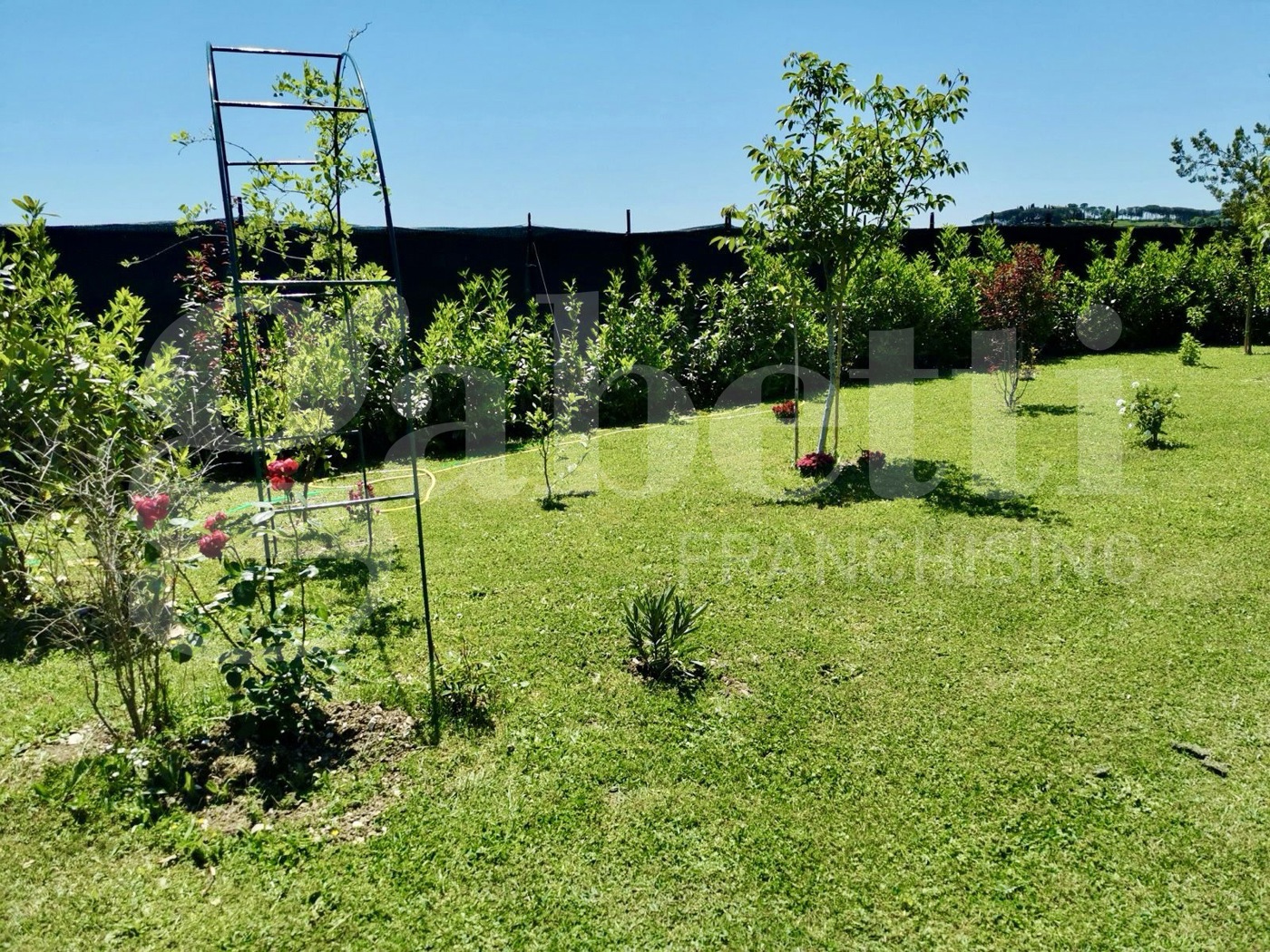 immagine annuncio 8 di 10