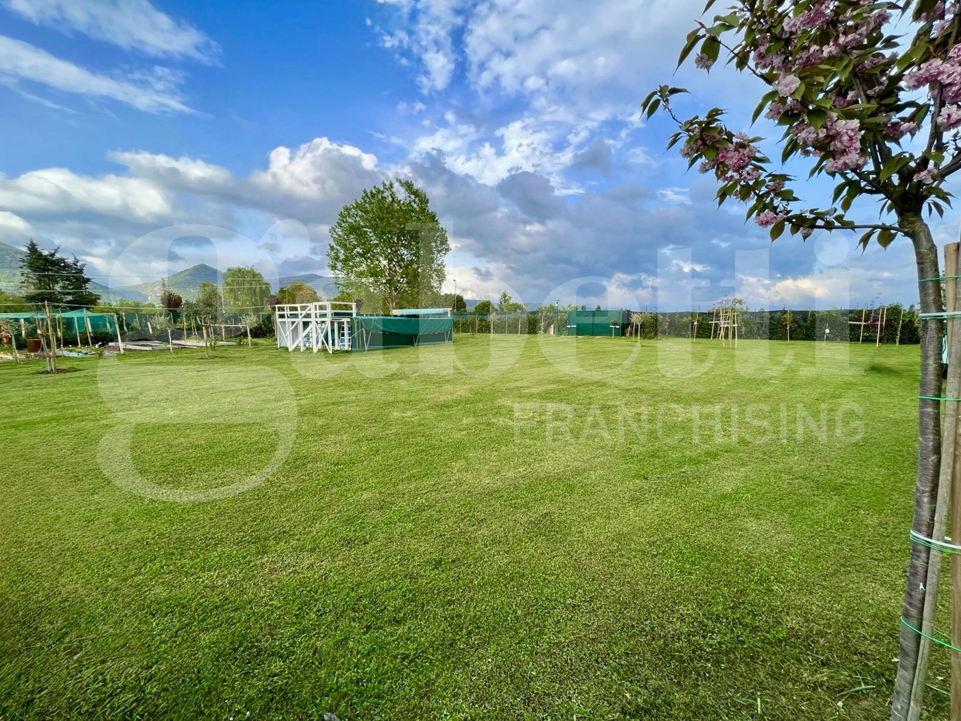 immagine annuncio 1 di 10